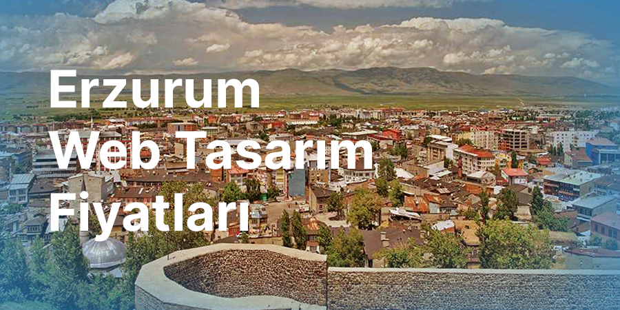 Erzurum Web Tasarım